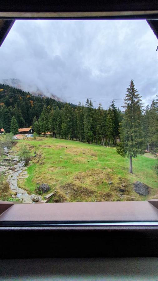 Hotel Casa Teleferic Buşteni Esterno foto