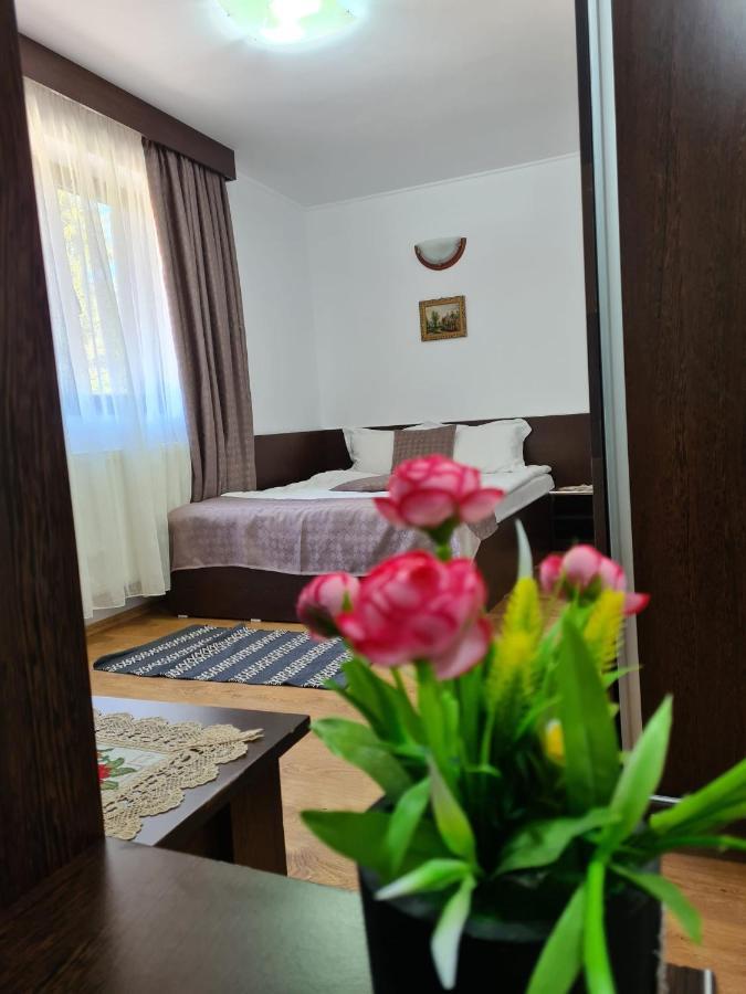 Hotel Casa Teleferic Buşteni Esterno foto